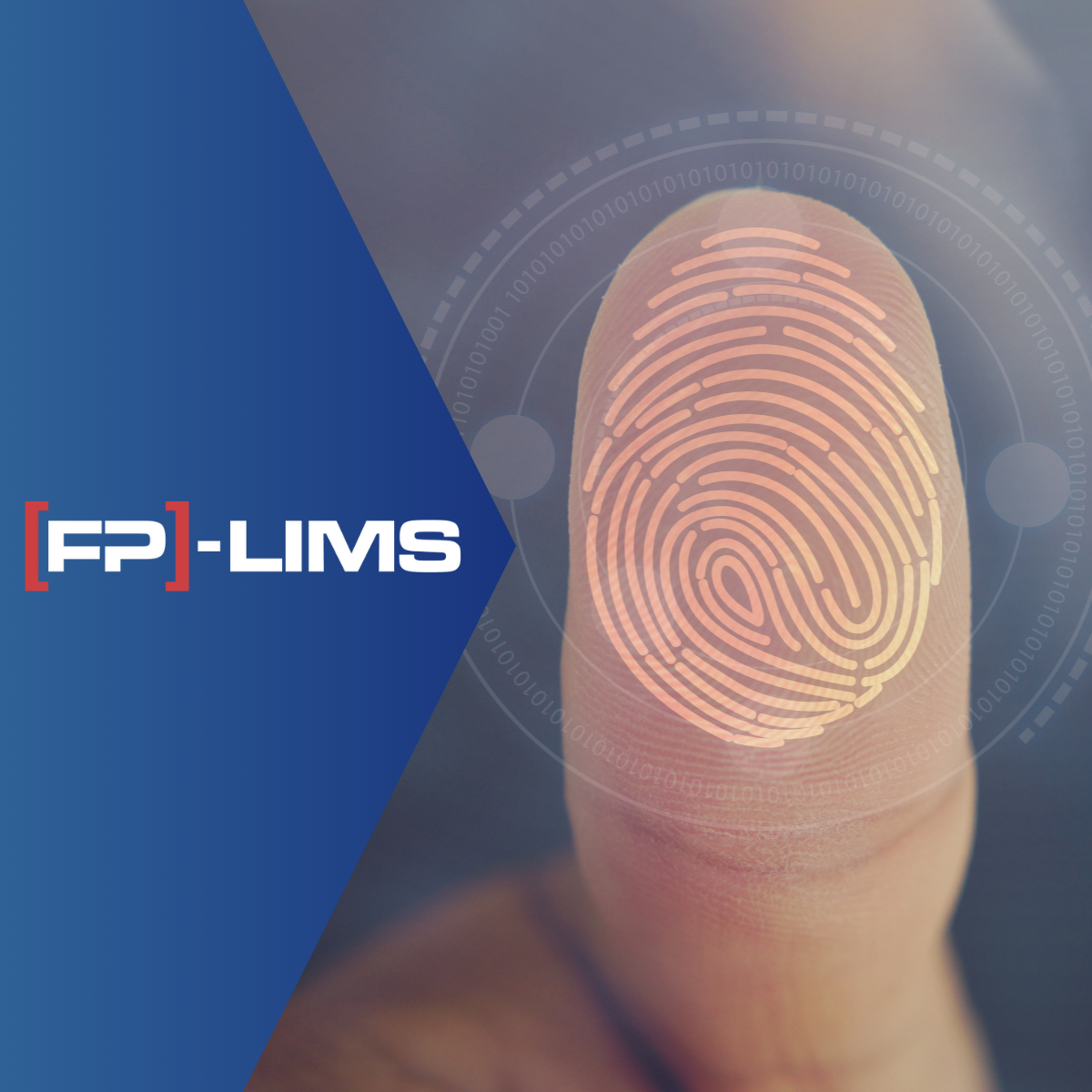 2020, Digital Identity und SSI Protokoll