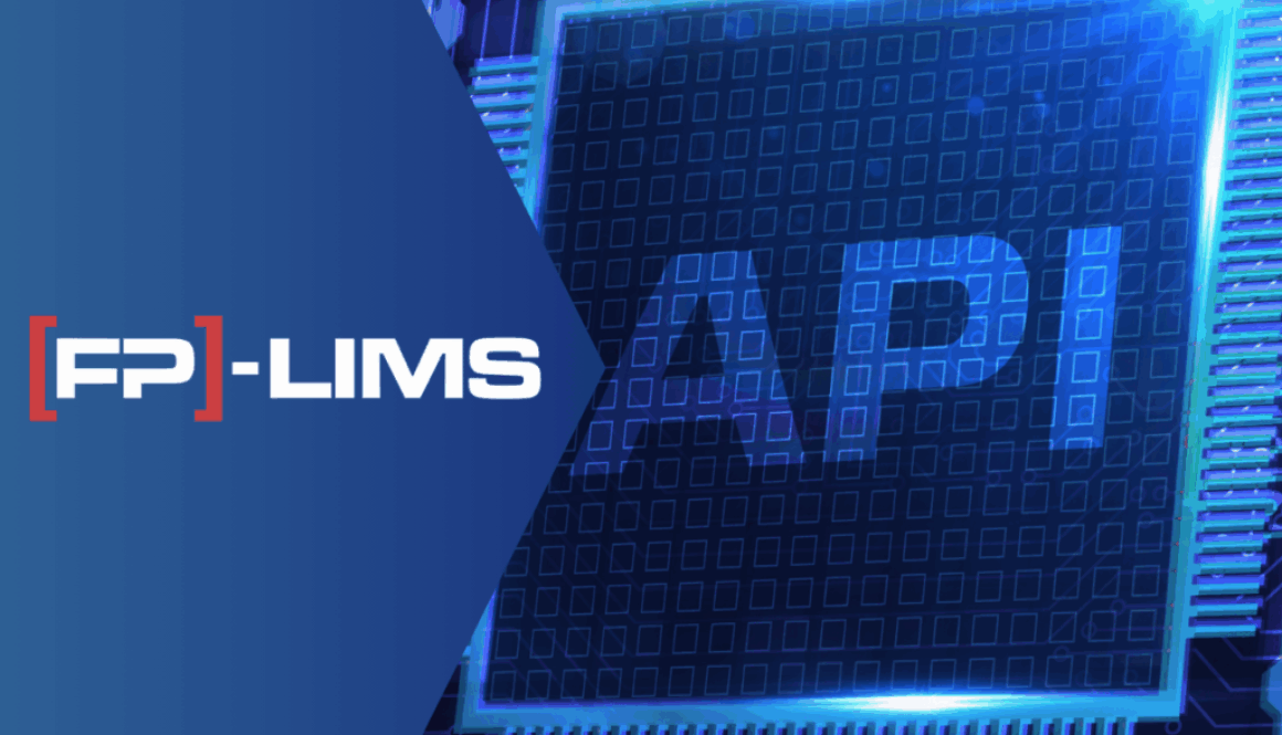 Schnittstelle, Anbindung & API