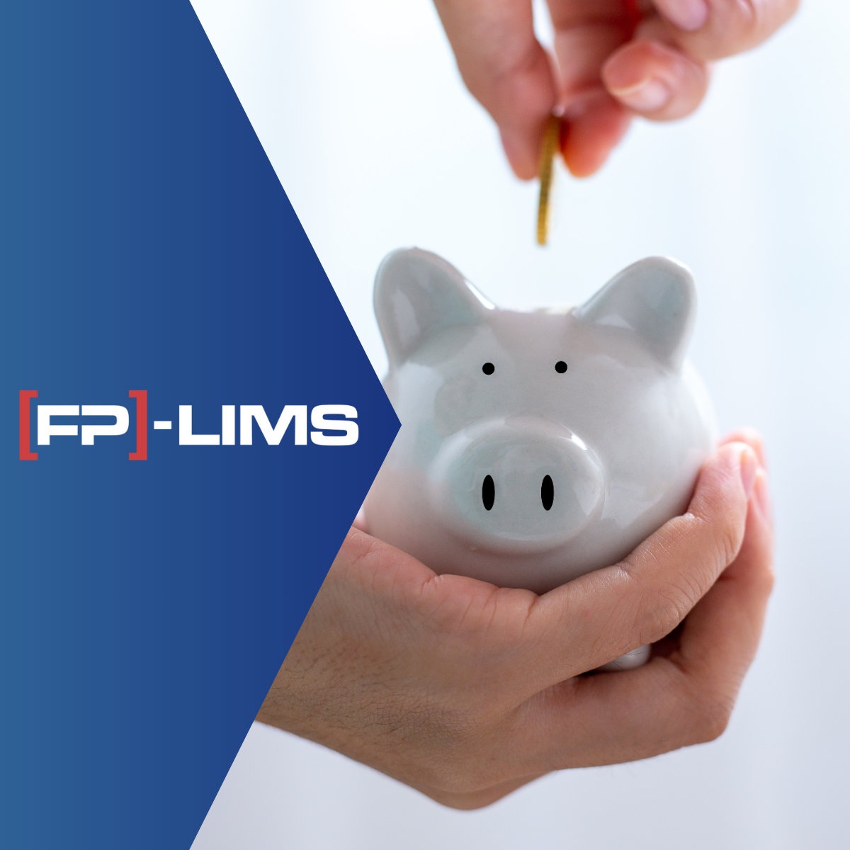 Die Kosten eines LIMS: Warum [FP]-LIMS eine langfristige Investition ist