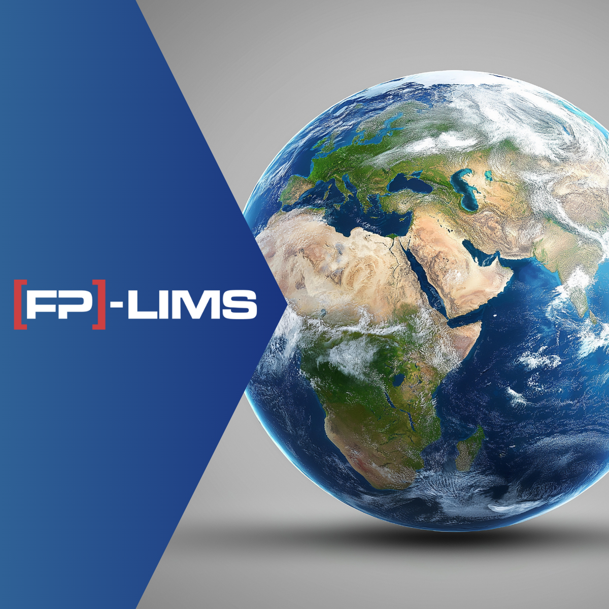Global LIMS – Why [FP]-LIMS is the perfect solution for internationally networked companies